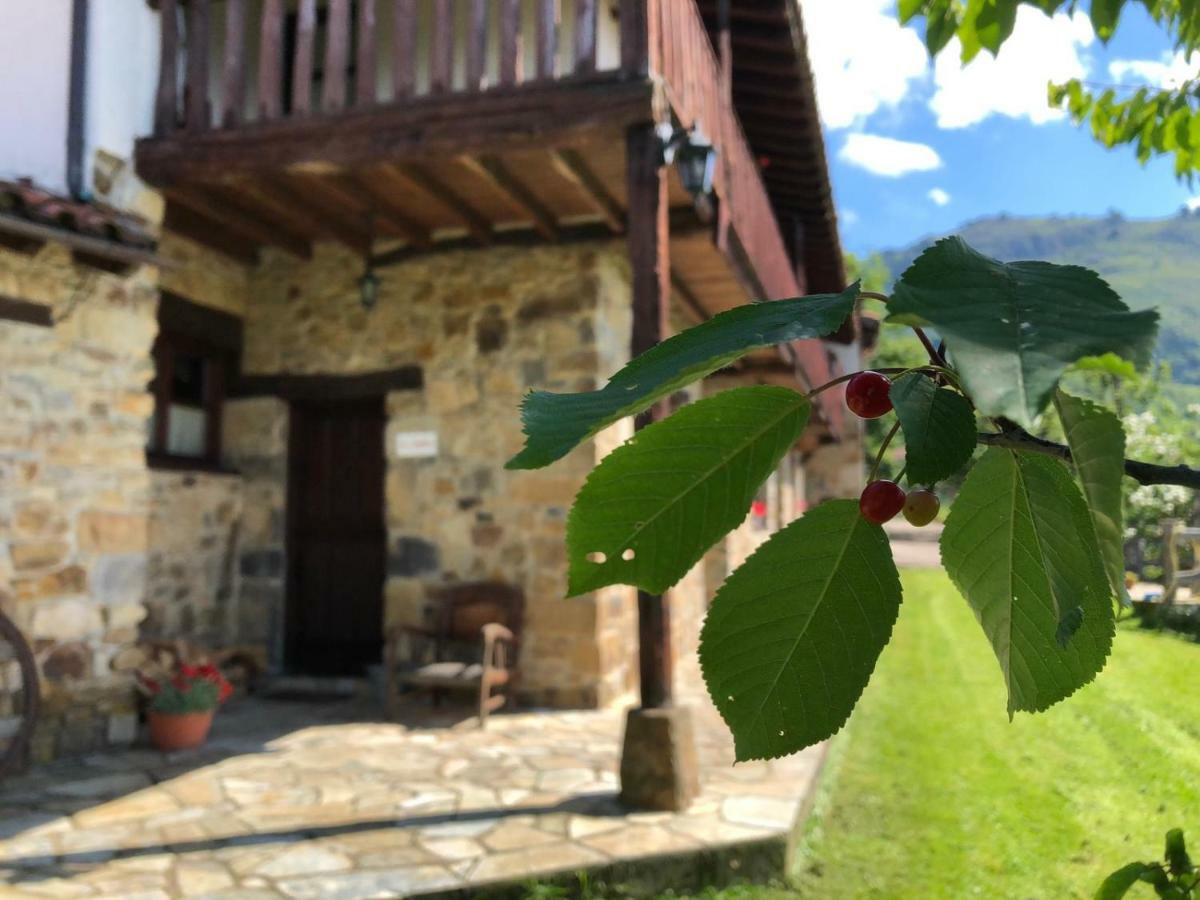 La Xamoca Rurales *